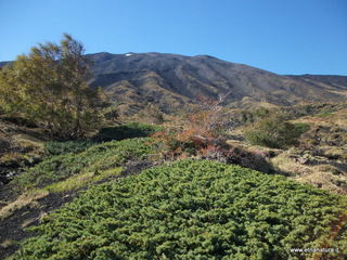 rrente Quarantore-01-11-2012 10-59-29